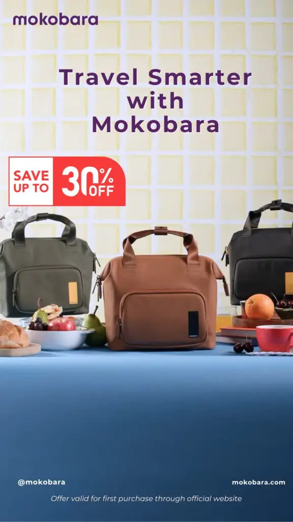 Travel Smarter with Mokobara (2)